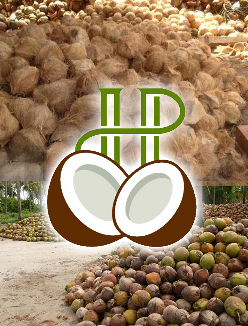Coconut Fiber manufacturers in coimbatore
